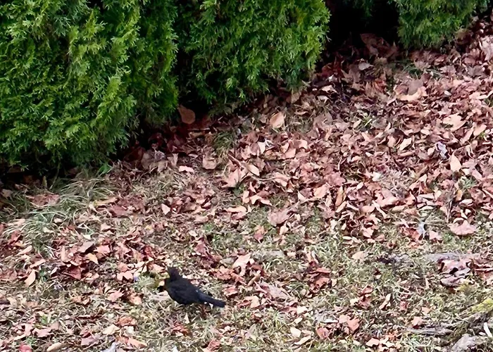 Lägenhet Exclusive Villach